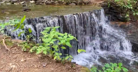 Hike Less Than One Mile To This Spectacular Waterfall In Pennsylvania