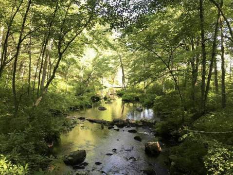 The Easy 4.9 Mile Gay City Red Blazes Trail Will Lead You Through The Connecticut Forest