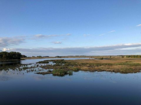 You'll Want To Spend The Entire Day At The Gorgeous Natural Pool In Delaware's Bear Swamp Trail