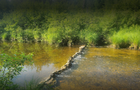 The Natural Swimming Hole At Ocqueoc Falls In Michigan Will Take You Back To The Good Ole Days