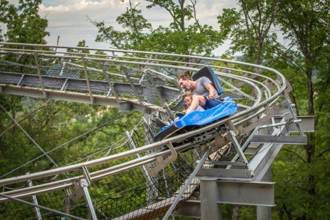 There’s An Adventure Park Hiding In The Middle Of A Missouri Forest And You Need To Visit