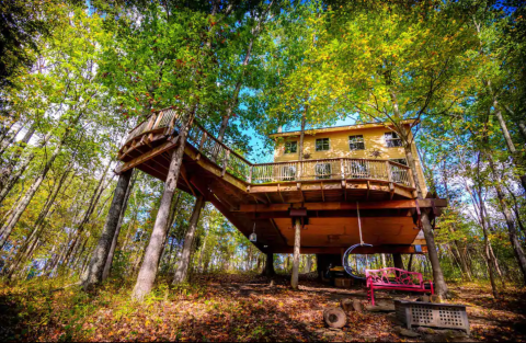 Sleep Among The Old-Growth Oaks And Hickories At The Kentucky Climber's Cottage Treehouse