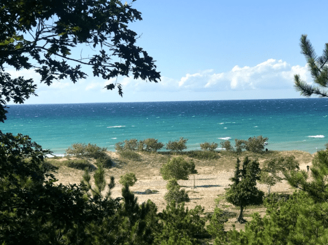 Michigan’s Woollam Family Nature Preserve Trail Leads To A Magnificent Hidden Oasis