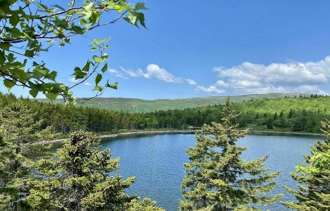 Maine’s Bowl Trail Leads To A Magnificent Hidden Oasis