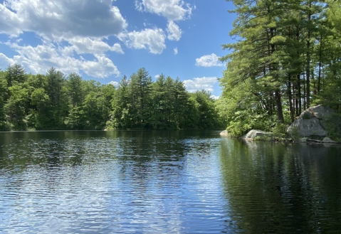 Hike Through Bird Street Conservation Area Loop In Massachusetts For An Incredible Birdwatching Adventure