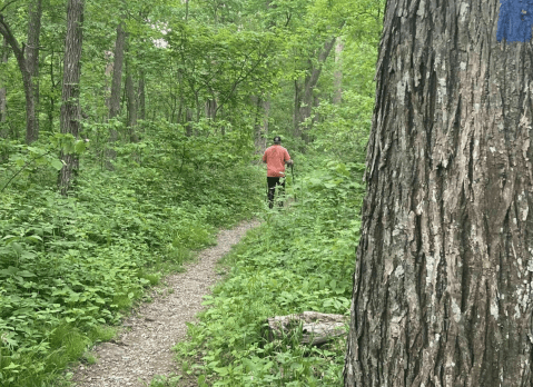 Follow Scenic Switchbacks To A 360-Degree Mountain View When You Hike Virginia's Flat Top Mountain