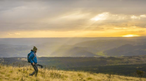 Take A Guided Twilight Hike Through Shenandoah National Park For A Bucket-List Summer Adventure In Virginia