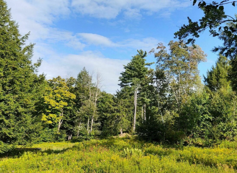 An Ideal Destination For A Family Outing, Sunset Rock Park In Stowe Vermont Is A Hidden Gem