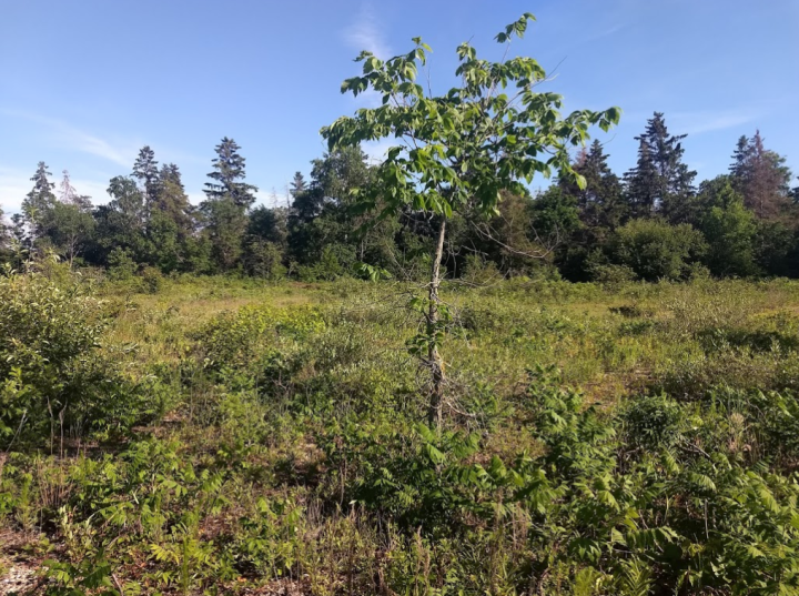 garden island state recreation area