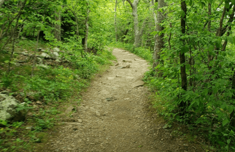 A Short-And-Sweet 1.5-Mile Mountain Loop, It's Easy To See Why Stony Man Is One Of Virginia's Favorite Hikes