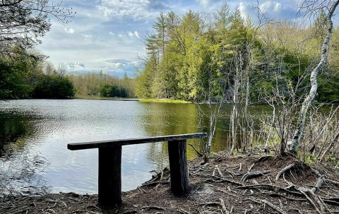 It's Impossible Not To Love This Breathtaking Wild Flower Trail In Maine