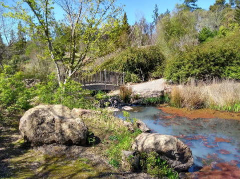 Explore One Of The World's Largest Collections Of Asian Plants At Sonoma Botanical Garden In Northern California