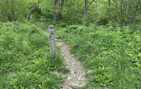 One Of The Most Overlooked Hikes In Virginia's Shenandoah National Park, Pass Mountain Trail Is Serene And Secluded