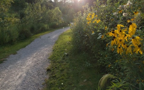 Mcintosh Loop Trail Near Cleveland Leads To A Magnificent Hidden Oasis