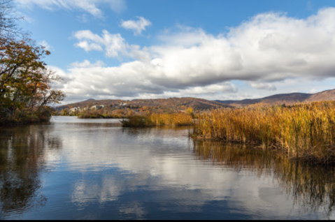 New York’s Constitution Marsh Trail Leads To A Magnificent Hidden Oasis