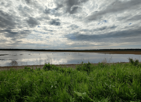 Montezuma National Wildlife Refuge Is One Of The Most Underrated Destinations In New York