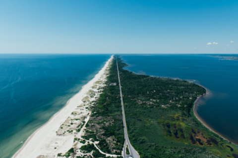 Island Beach State Park Is The Single Best State Park In New Jersey And It's Just Waiting To Be Explored