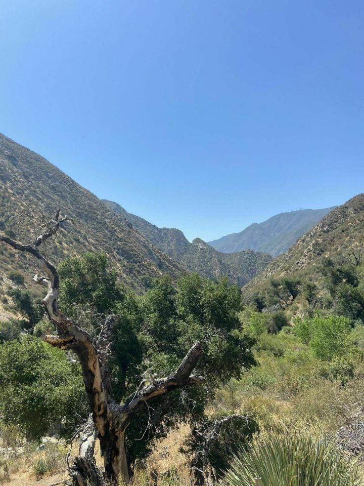 different mountains on Trail Canyon Falls in California