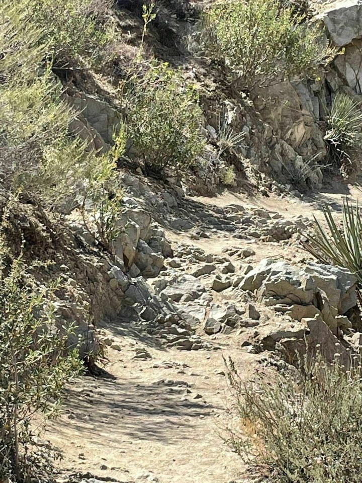 rocky pathway on Trail Canyon Falls in California