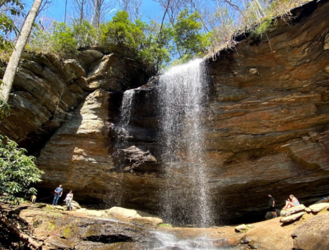 Take A Guided Waterfall Hike In North Carolina With An Expert Naturalist To Gain Special Insights Into The Area