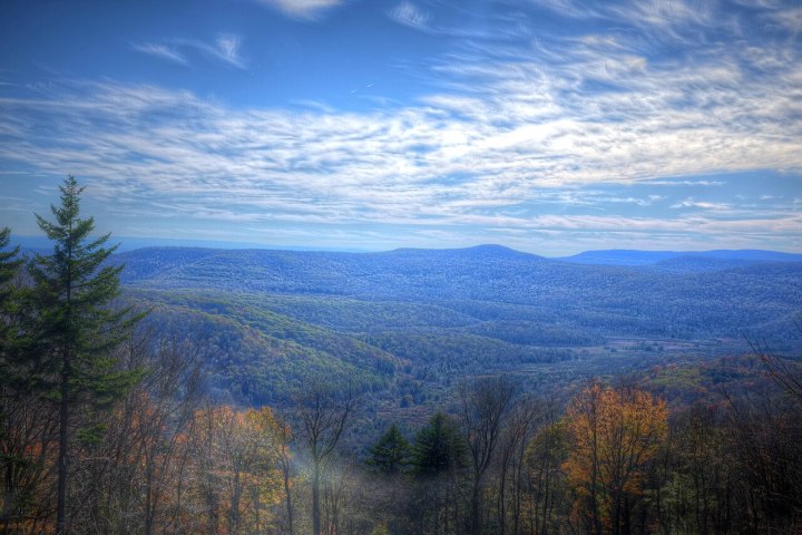 cranberry glades in west virginia