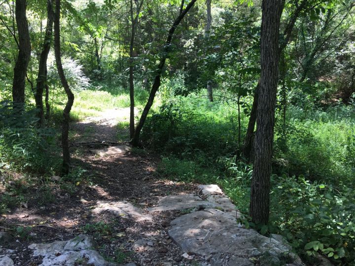 Pinion creek falls