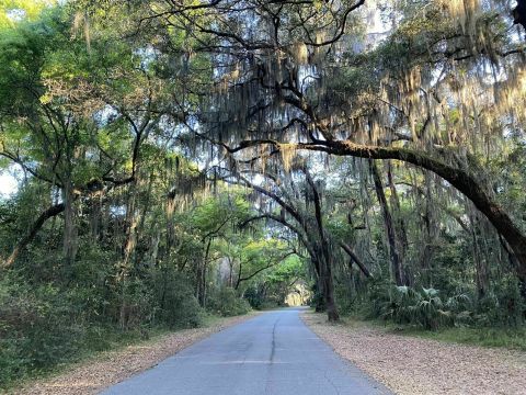 Walk Or Ride Alongside The Ocean On The 3.5-Mile Ocean View Trail In Georgia