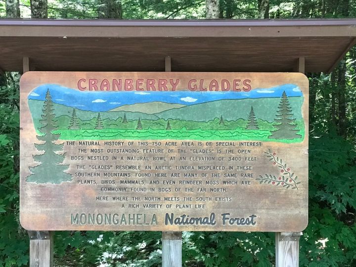 cranberry glades in west virginia