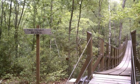 There Is So Much Natural Beauty Along This Segment Of The Florida Trail