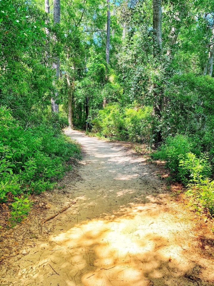 Vereen Memorial Gardens Trails