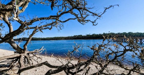 Hike Through This Botanical Garden To The Intracoastal Waterway On A 2.4-Mile Coastal Trail In South Carolina