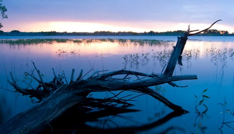 The Whole Family Will Love A Visit To The Lakeside Calamus State Recreation Area Campground In Nebraska