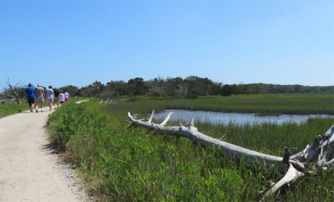 Walk Or Ride Alongside The Ocean On The 1.8-Mile Botany Bay Beach Walk In South Carolina