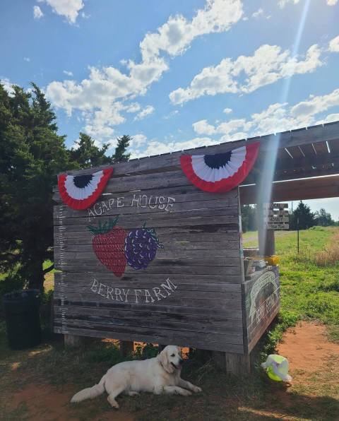 Pick Your Own Berries And Make Sweet Jam At Agape House Berry Farm In Oklahoma