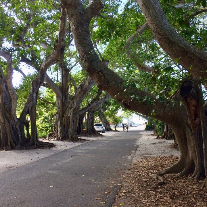 Boca Grande Bike Trail