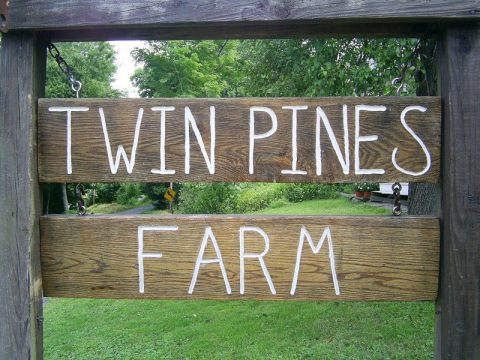 Bring Your Family Out To Twin Pines Farm In Connecticut To Explore A Working Farm And Get Back To Basics