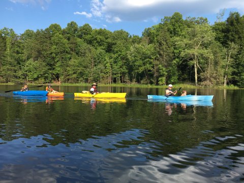 See The Stars Like Never Before At The Bays Mountain Park & Planetarium, A Perfect Day Trip From Nashville