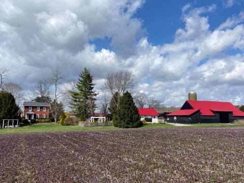 One Of The Most Incredible Small Businesses In Indiana, Stream Cliff Farm Is A Proud Family-Run Farm And Winery