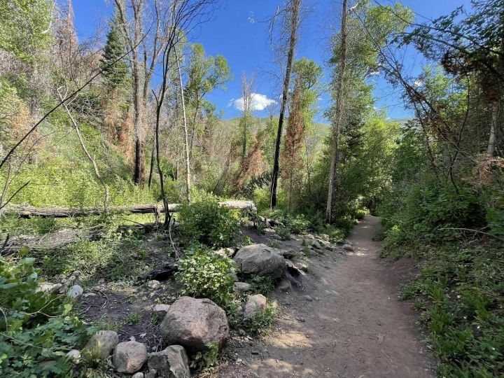 waterfall trail in Utah