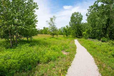 Visit Brighton Park, The Newest Park In Cleveland & A Gorgeous Old Brooklyn Greenspace