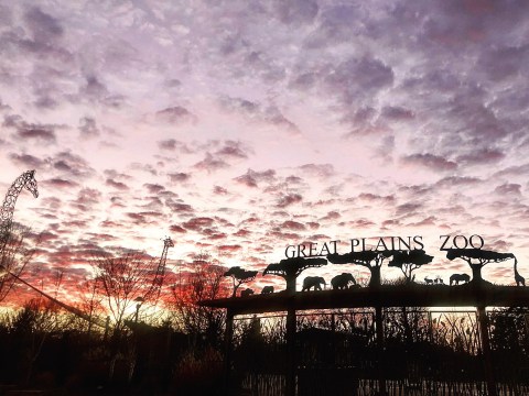 A Family Campout At The Great Plains Zoo In South Dakota Is One Of The Best Things You Will Do This Summer