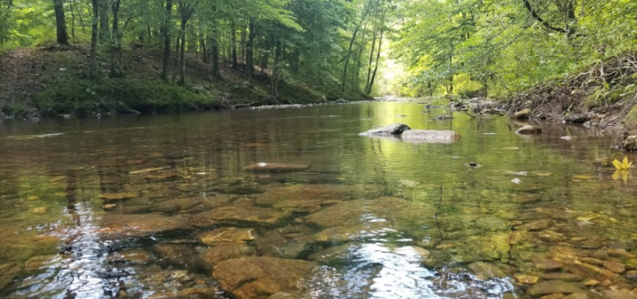 Blaylock Creek Falls