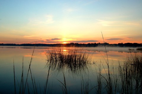 Explore The Osamequin Nature Trails In Barrington Rhode Island For That Wonderful, Scenic Experience You Need