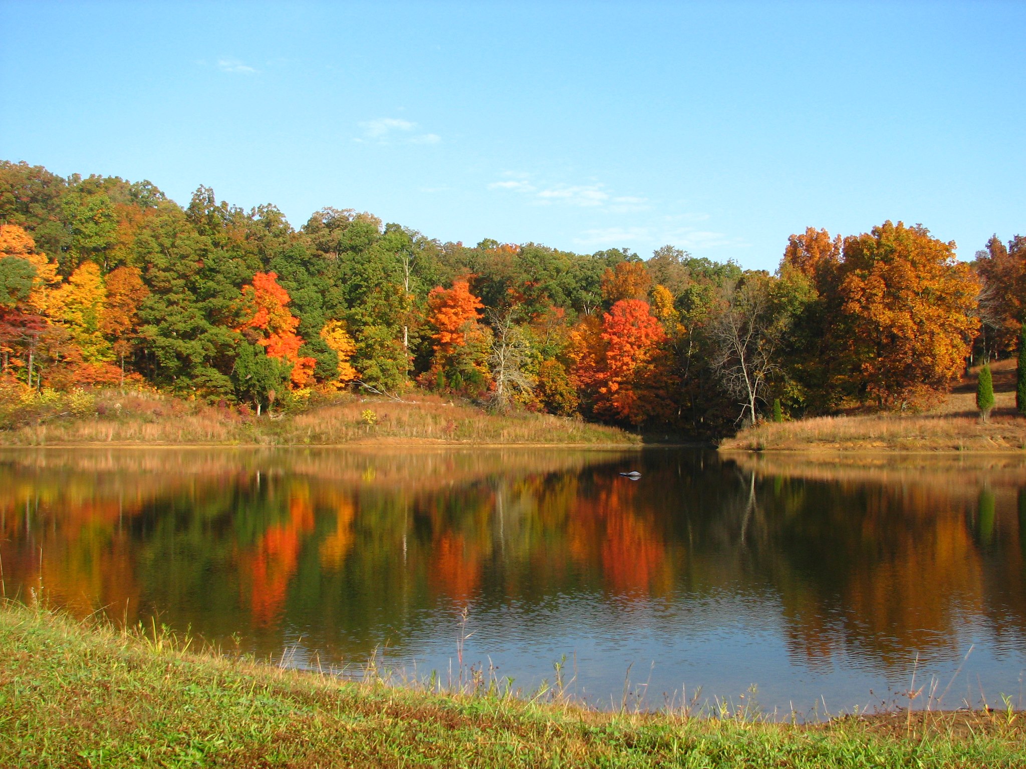 Indiana banner image