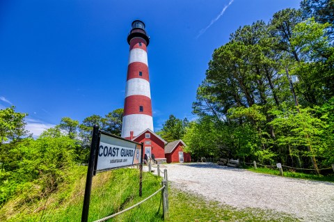 One Of The Most Unique Towns In America, Chincoteague Is Perfect For A Day Trip In Virginia