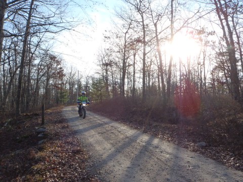 Pachaug State Forest Might Just Be The Most Haunted Park In Connecticut