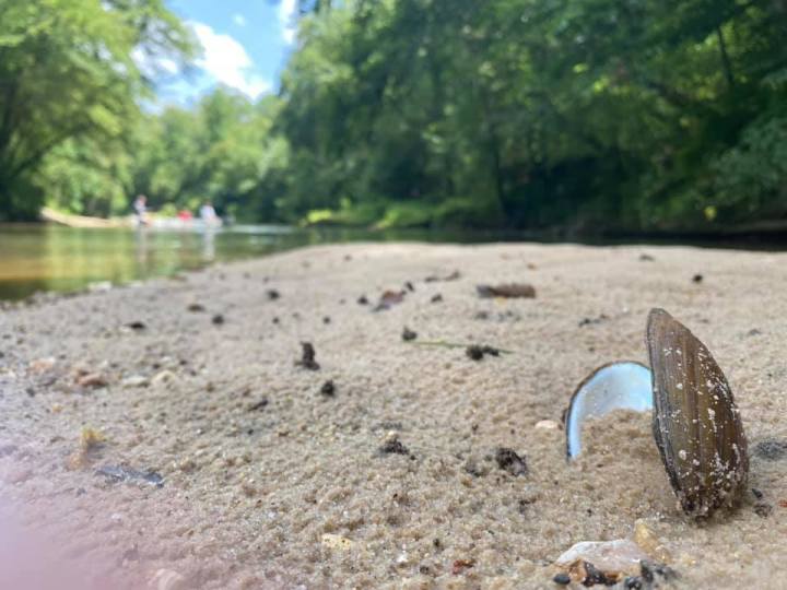 Bogue Chitto River