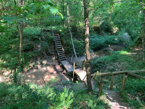 Get Away From It All With A Day Spent At The Mary Ann Brown Nature Preserve In Louisiana