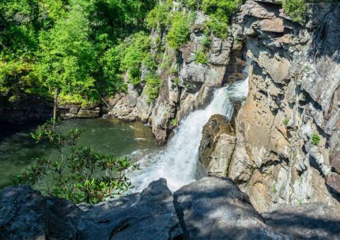 The Easy 1.7-Mile Erwin’s View Trail Will Lead You Through The North Carolina Forest