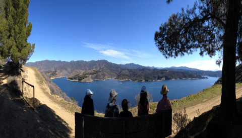 7 Things Your Family Should Do At Castaic Lake State Recreation Area That Are Perfect For Summer In Southern California